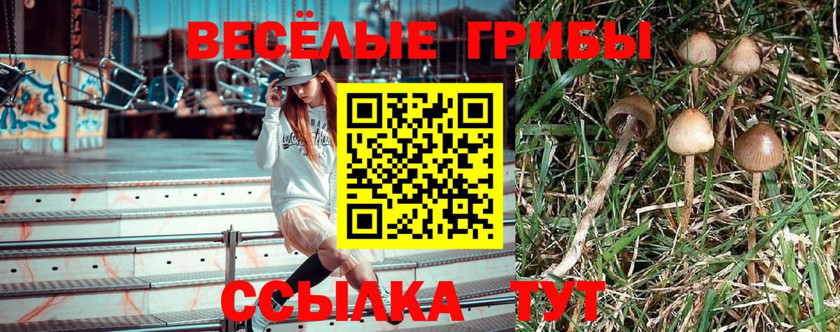 Галлюциногенные грибы мухоморы  Псилоцибиновые грибы MAGIC MUSHROOMS  Вход с VPN  Биробиджан 